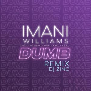 Imani Williams的專輯Dumb (DJ Zinc Remix)
