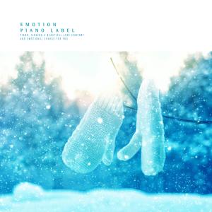 Album Piano collection featuring beautiful seasonal winter sensations from Various Artists