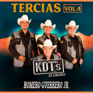 收聽Homero Guerrero Jr y los Kdt's de Linares的No Hay Novedad歌詞歌曲