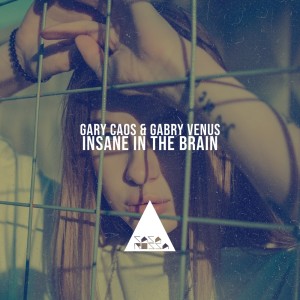 Album Insane in the Brain from Gabry Venus