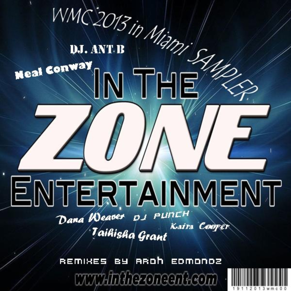 I Owe You (DJ Punch WMC Mix)