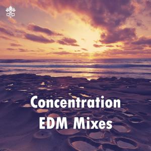 Album Concentration EDM Mixes from Constant Z