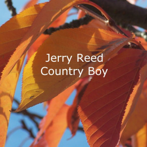ดาวน์โหลดและฟังเพลง In My Own Backyard พร้อมเนื้อเพลงจาก Jerry Reed