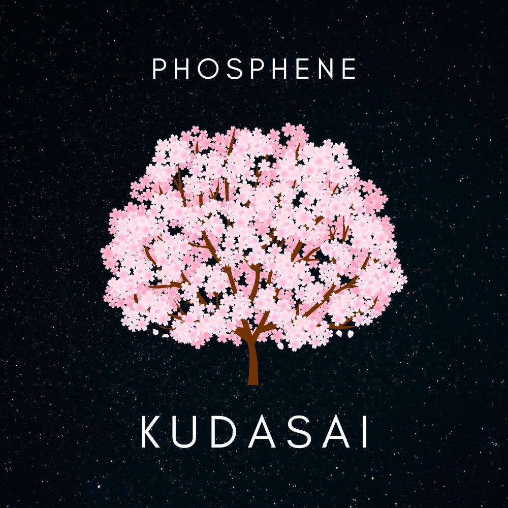 Kudasai
