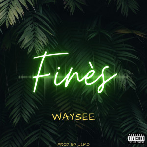 Album Finès (Explicit) from Waysee
