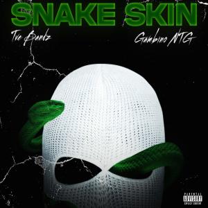 Tve Bandz的專輯Snake Skin (feat. Gambino NTG) (Explicit)