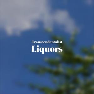 收听Ches Harya的Transcendentalist Liquors歌词歌曲