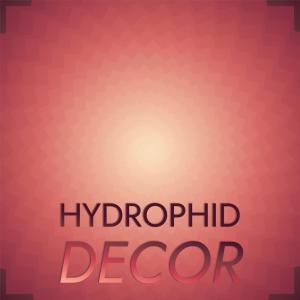 Dengarkan lagu Hydrophid Decor nyanyian Noviana Bood dengan lirik