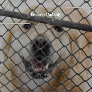 Listen to Sweety Chick song with lyrics from Pien Wiel
