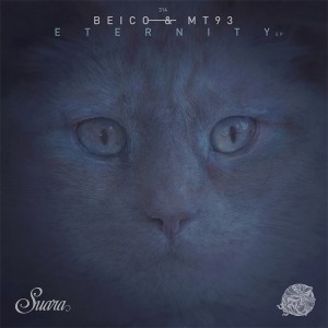 ดาวน์โหลดและฟังเพลง Connection Series (Original Mix) พร้อมเนื้อเพลงจาก Beico & Mt93