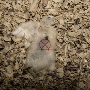 ดาวน์โหลดและฟังเพลง High-Impact (Acoustic|Explicit) พร้อมเนื้อเพลงจาก To The Grave