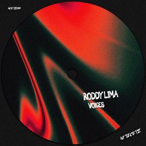 ดาวน์โหลดและฟังเพลง Voices พร้อมเนื้อเพลงจาก Roddy Lima