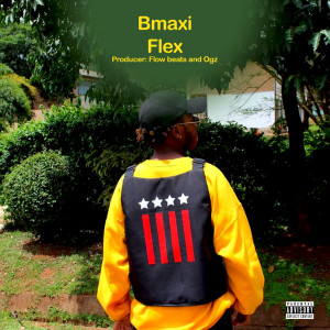 Bmaxi的專輯Flex (Explicit)