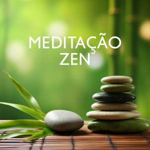 Listen to A Arte de Viver em Harmonia song with lyrics from Meditação Música Ambiente