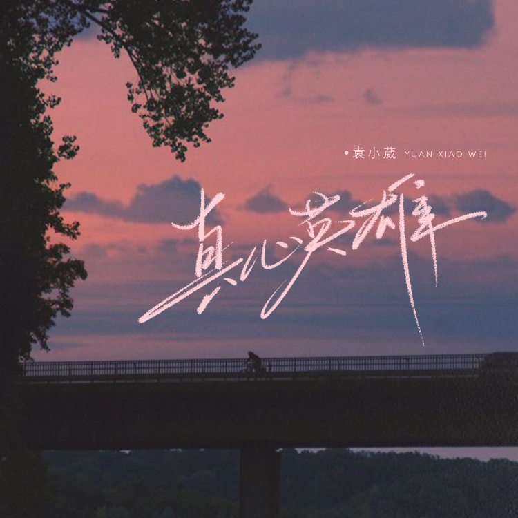 真心英雄