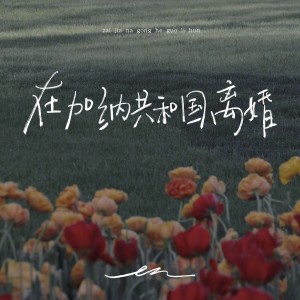 อัลบัม 在加纳共和国离婚 ศิลปิน en