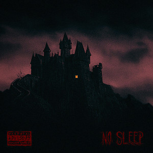 ดาวน์โหลดและฟังเพลง No Sleep (Explicit) พร้อมเนื้อเพลงจาก ganto