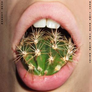 ดาวน์โหลดและฟังเพลง The Fine Print พร้อมเนื้อเพลงจาก Spud Cannon