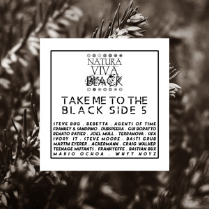 ดาวน์โหลดและฟังเพลง Transition พร้อมเนื้อเพลงจาก Bastian Bux