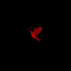Album Poof (Explicit) from Tundra