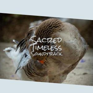 Listen to Packhorse Way song with lyrics from Codla