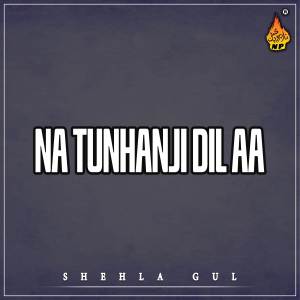 ดาวน์โหลดและฟังเพลง Aeha Luck Aa พร้อมเนื้อเพลงจาก Shehla Gul