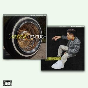 Listen to Armadillo song with lyrics from Junoflo