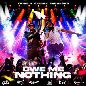 อัลบัม Owe Me Nothing ศิลปิน Skinny Fabulous