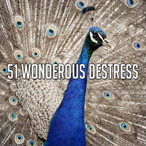 Yoga Workout Music的專輯51 Wonderous Destress