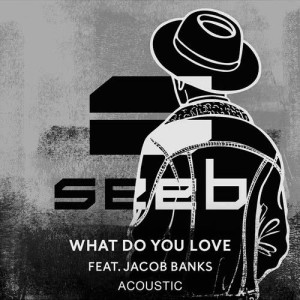 收聽Seeb的What Do You Love (Acoustic)歌詞歌曲