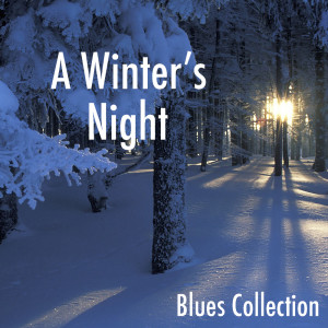 Album A Winter's Night: Blues Collection from Various Artists