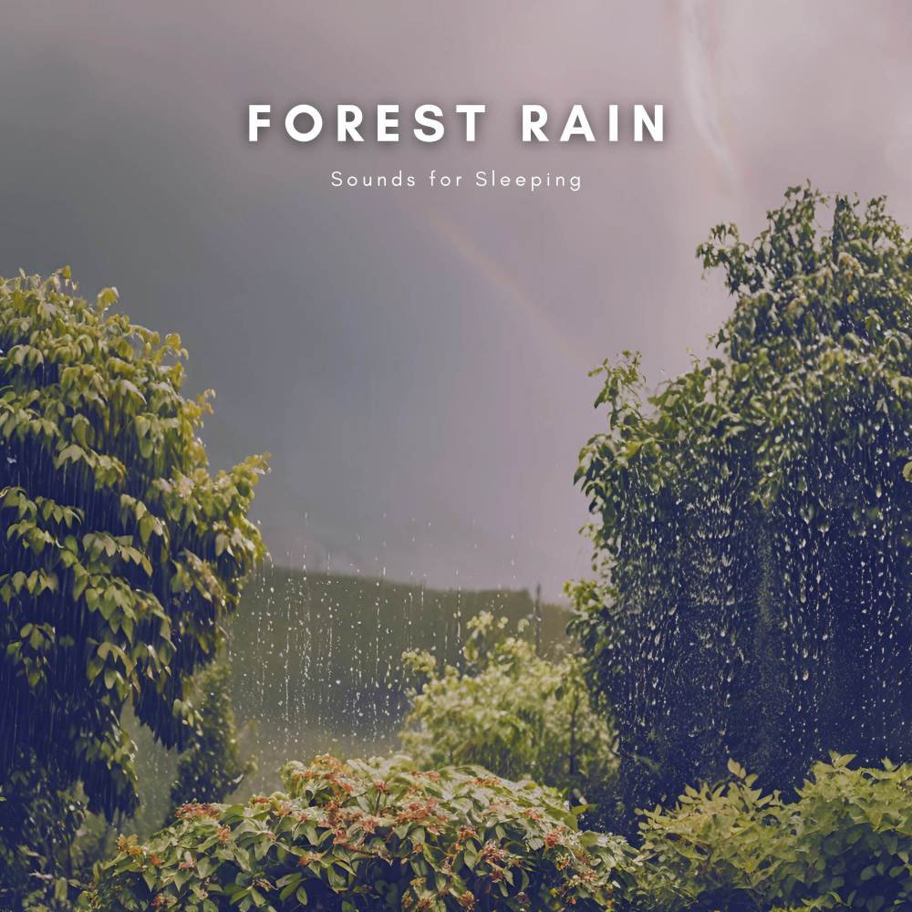 Thunderous Rain for Sleep