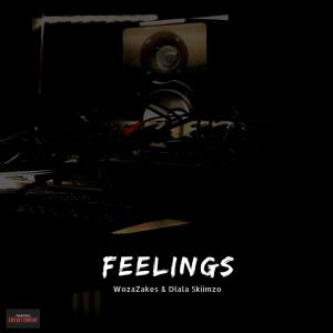 อัลบัม Feelings (feat. WozaZakes) ศิลปิน Woza Zakes