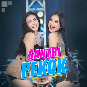 Santri Pekok dari Shinta Arsinta