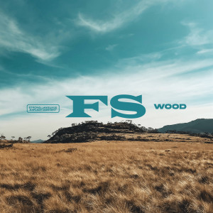 Dengarkan FS (Explicit) lagu dari Wood dengan lirik