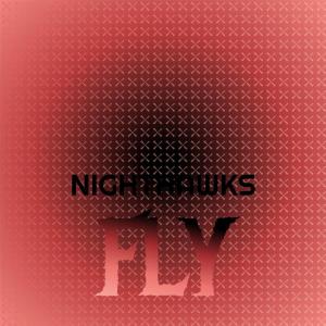 Various Artists的專輯Nighthawks Fly