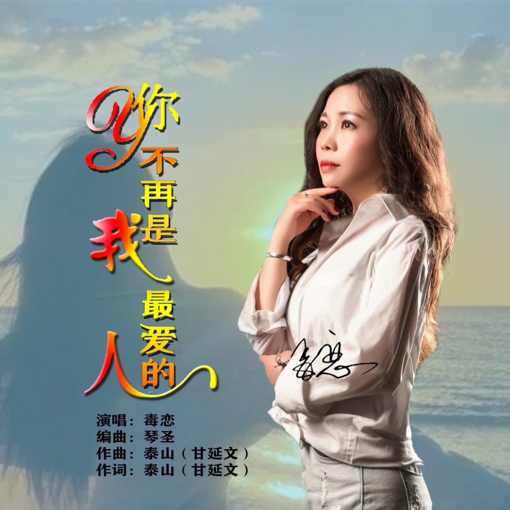 你不再是我最爱的人（发行） (伴奏)