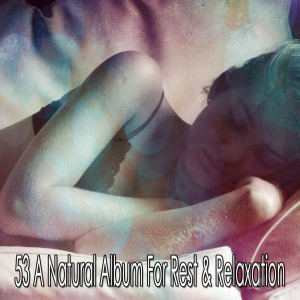 Listen to Focus on Sleeping song with lyrics from Best Relaxing Spa Music