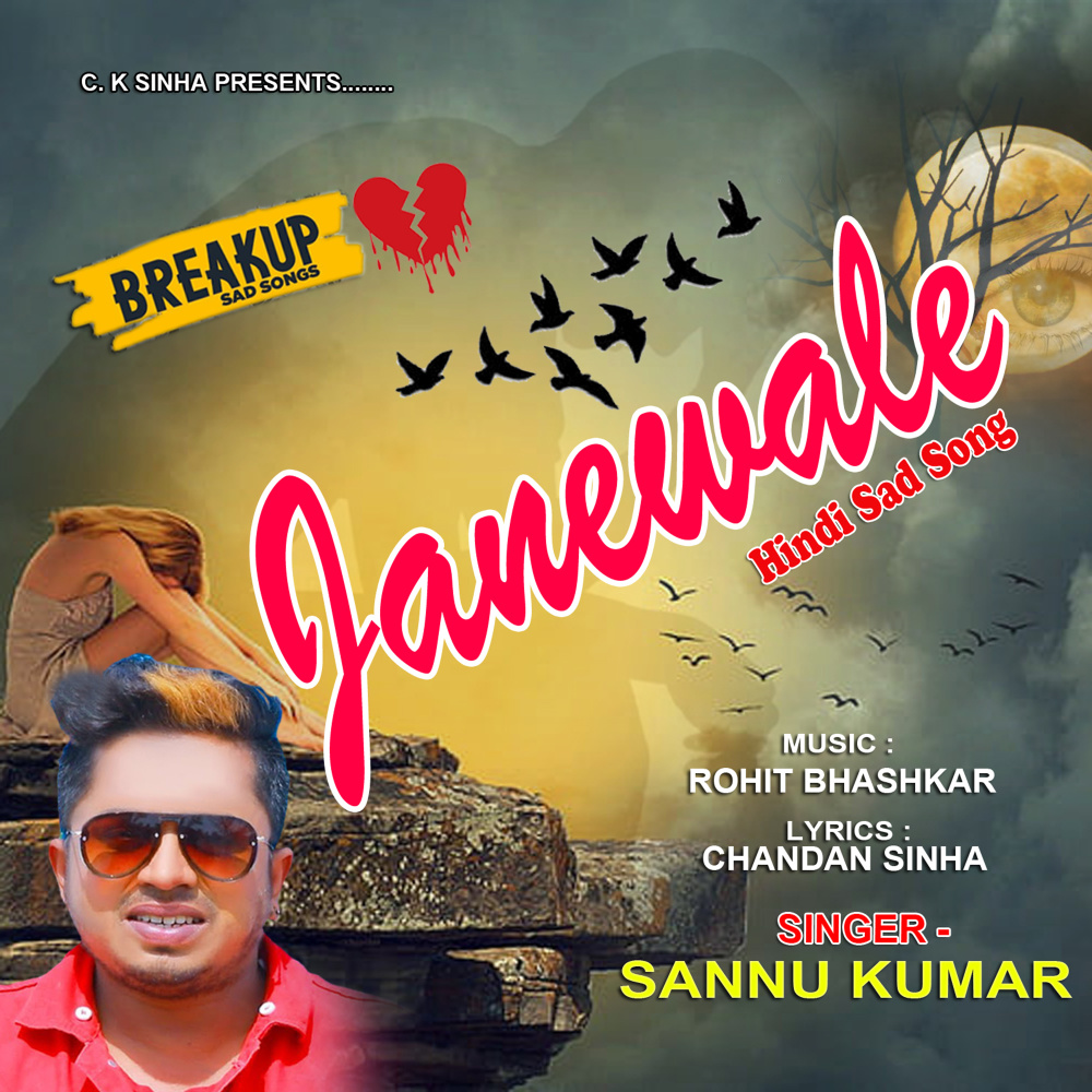Janewale (HINDI SAD SONG)