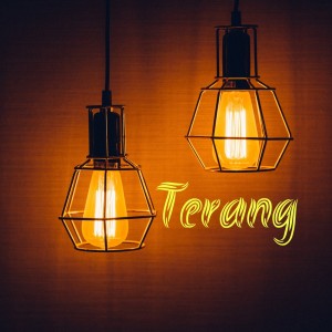 收听Terang的Jangan Pernah Selingkuh歌词歌曲
