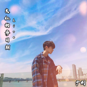 Album 火红的萨日朗 from 少刘