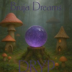 收聽DRYP的Bruja Dreams歌詞歌曲