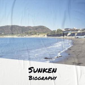 Listen to Sunken Biography song with lyrics from Larsa