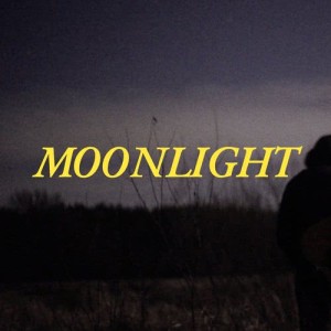 ดาวน์โหลดและฟังเพลง Moonlight พร้อมเนื้อเพลงจาก Shy Albatross
