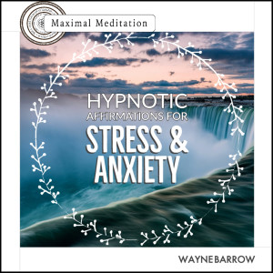 Dengarkan Hypnotic Affirmations for Stress & Anxiety lagu dari Wayne Barrow dengan lirik