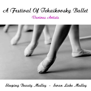 Album A Festival Of Tchaikovsky Ballet oleh Hamburg Staatsoper Orchestra