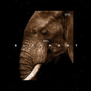 收聽MTL的Elephant (Explicit)歌詞歌曲