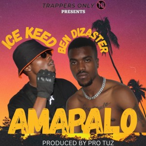 Album Amapalo from Ice Keed