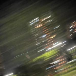 收聽Fauna的found歌詞歌曲