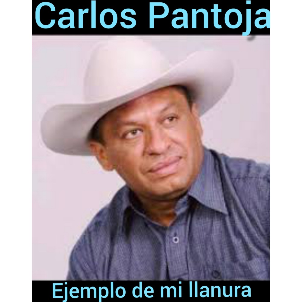 Ejemplo de Mi Llanura